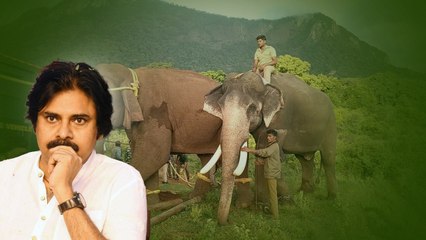 Bengaluruకు పయనమైన Deputy CM | What is Kunki Elephants..? | Oneindia Telugu