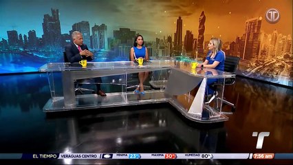 En el Día Internacional del Gato, resultan las características de estos felinos