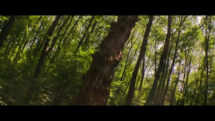 El hombre del saco Tráiler VO