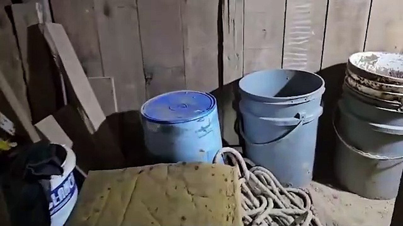 unpEIp5R-34105381.mp4