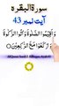 Al-Quran - Surah 2 - Al-Baqara - Ayah 43 | hafiz salman ali