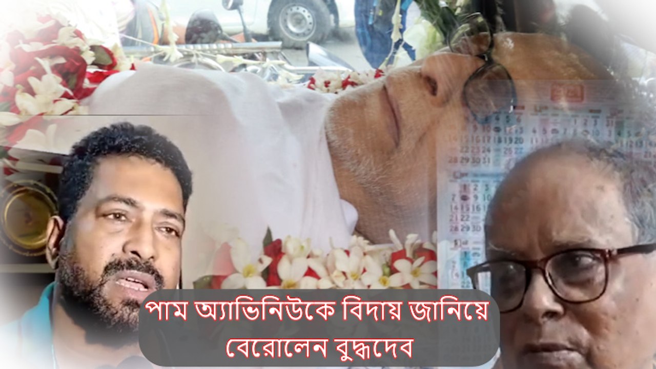 দীর্ঘ লড়াই, বিতর্ক, চর্চার ইতি, পাম অ্যাভিনিউকে...