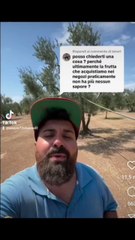 la frutta dei negozi senza sapore