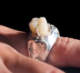 Pearl of the bite! Crafting a ring with a real tooth!