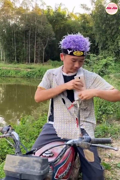 Best Funny Videos  - Try to Not Laugh 