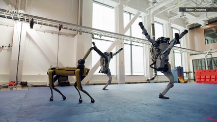 Could This Robot Dog Be Used for Future Mars Missions?