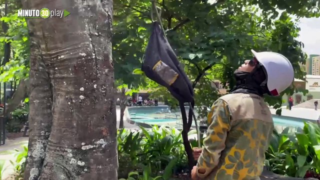 Parque Bolívar florece con 800 orquídeas donadas para la Feria de las Flores