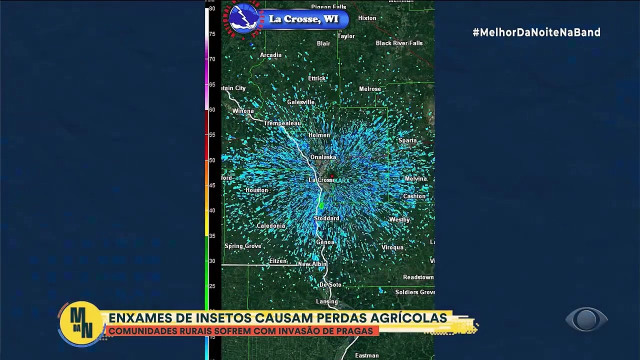 Planeta Incrível: conheça as cidades americanas que são tomadas por nuvens de gafanhotos