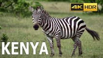 Kenya HD Video || KENYA HDR 4K 60FPS BEAUTIFUL PLACES VIDEO WITH RELAXING MUSIC.