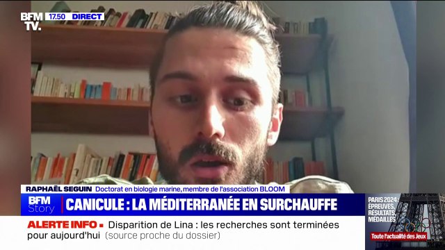 Raphaël Seguin (doctorat en biologie marine), sur la canicule marine: Les conséquences sur la faune et la flore sont catastrophiques