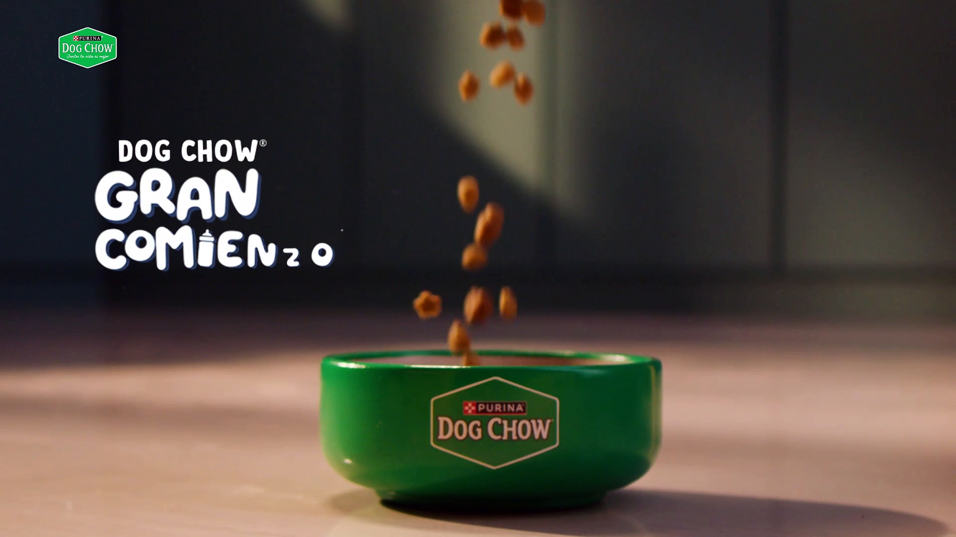 DM_16-9_TRUEVIEW_15s_DC_KIDS_NESTLÉ PURINA PET CARE_AGOST_2024