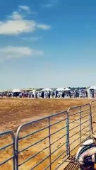 موسم التبوريدة بالمغرب