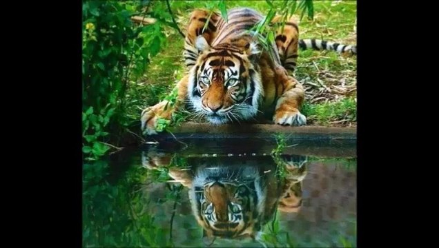 İslam'a, Kuran'a ve Müslümanlara gerici, yobaz ve çağdışı diyenlerin cenaze namazı kılınmaz