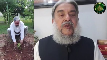 پاکستانیت - شجرکاری  چوتھا حصہ