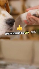 Cracking the Code AI Integration Challenges