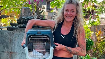 Woman Races To Find Rescue Dog's Puppies