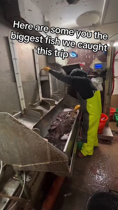 What Type Of Fish Do You Like To Catch...!!