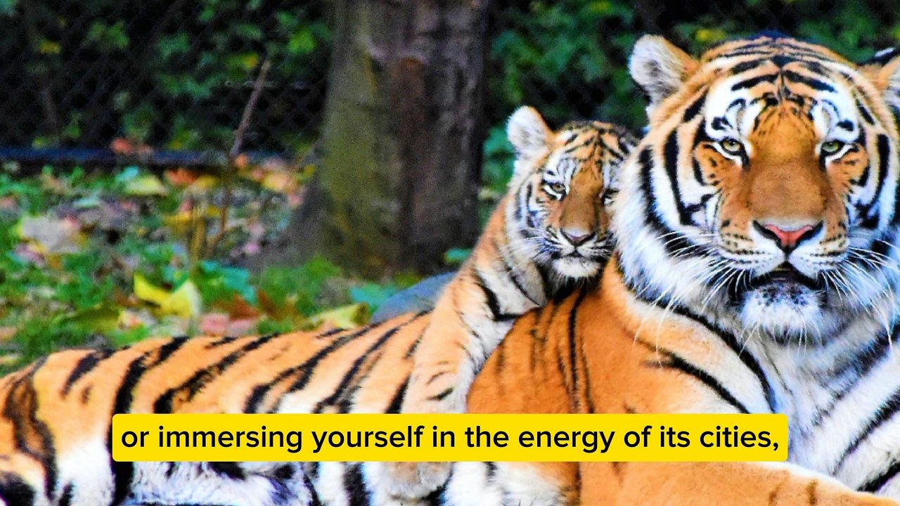 Travel To Bangladesh | Dr.Muhammad Yunus | History of Bangladesh