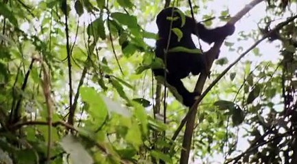 BBC Africa E06 The Future