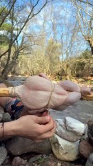 Roasted Whole Chicken in Nature