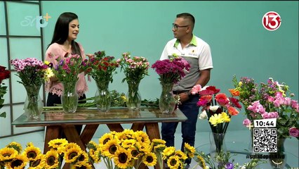 Su Lado Positivo 8 agosto 2024 / programa Completo