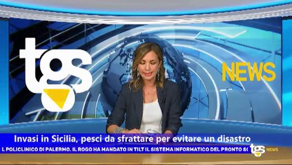 Il notiziario di Tgs, edizione dell'8 agosto – ore 19.50