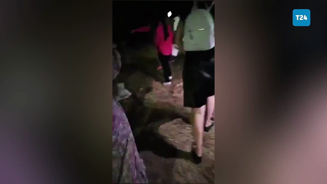 Ankara'nın Altındağ İlçesi'nde köpeklerin katle...
