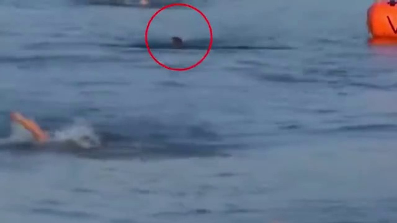 Moment CrossFit athlete Lazar Dukic disappears under the water