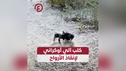 كلب آلي أوكراني لإنقاذ الأرواح