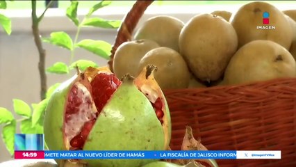 Así es la ruta del chile en nogada en Puebla