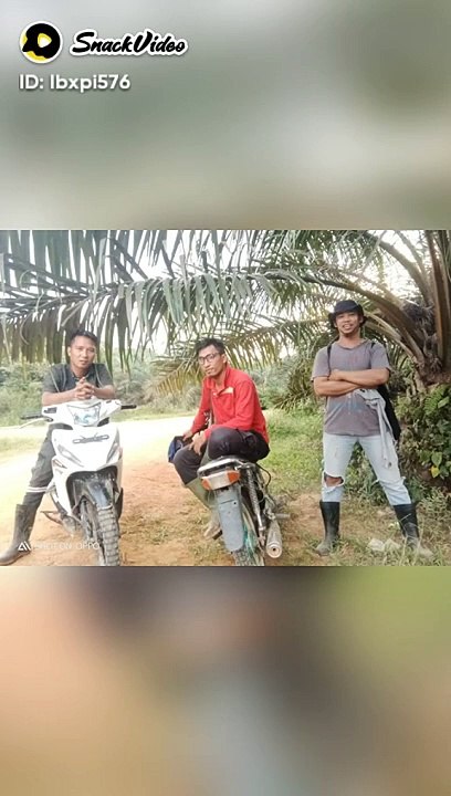 payo koyon