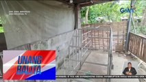 State of calamity, idineklara sa Calatagan, Batangas dahil sa dumaraming African Swine Fever cases | Unang Balita