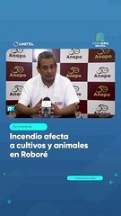 Incendio afecta a cultivos y animales en Roboré