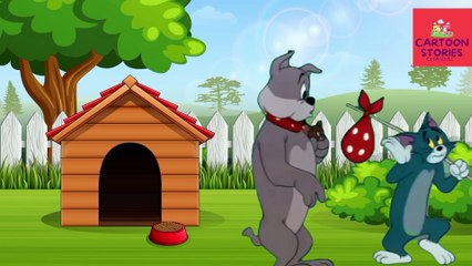 Tom Friend & Jerry-Spike Full Fun Enjoy  Cartoon Stories Channel  #tomandjerry #