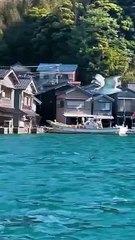 Japan Kyoto  #shorts