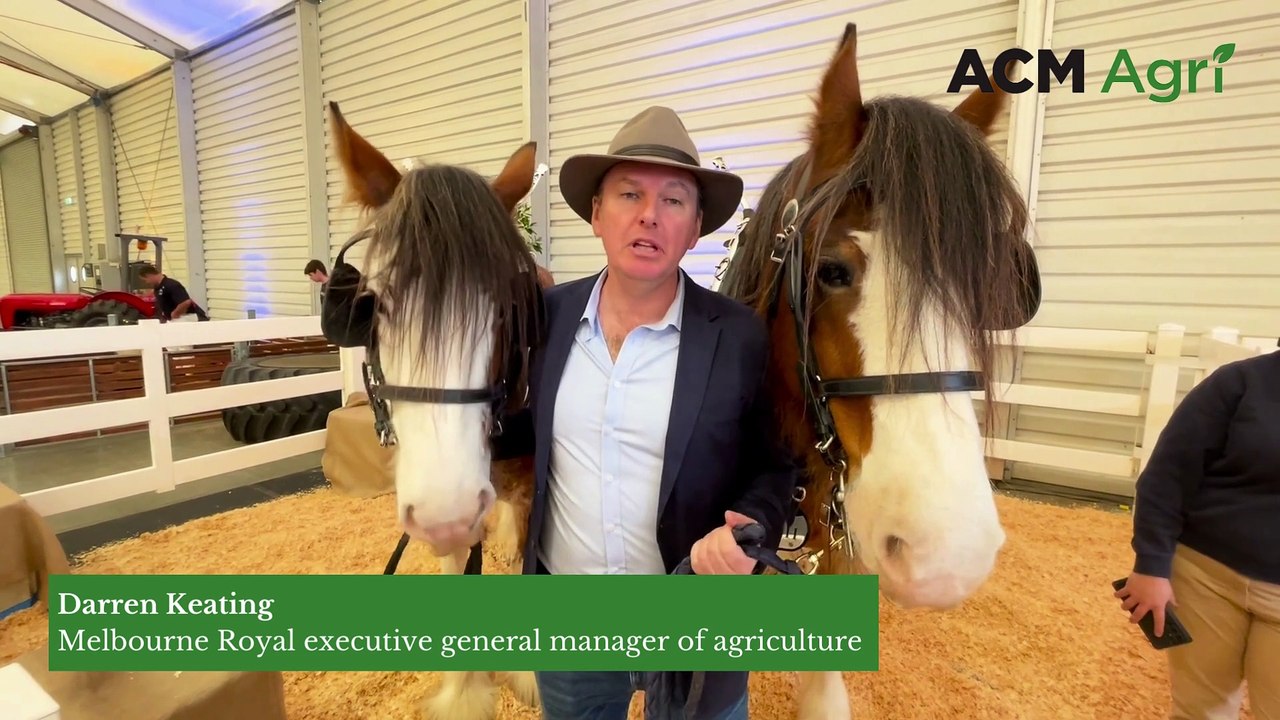 What's on show at the Melbourne Royal Show | August 9, 2024 | Stock & Land
