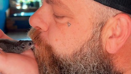 Guy Rescues Tiny Mouse Who Now Lives In His Shirt