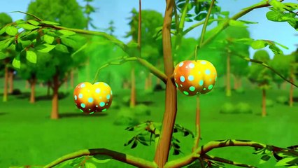 Meet The BIG Silly Crocodile! | Hilarious Adventures for Kids