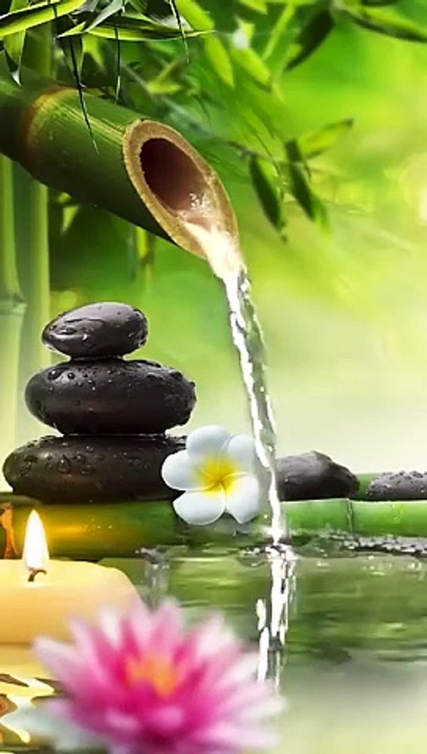 Relaxing Music Bamboo Water Fountain Meditation Music Sleep Music Piano Music Stress Relief Music