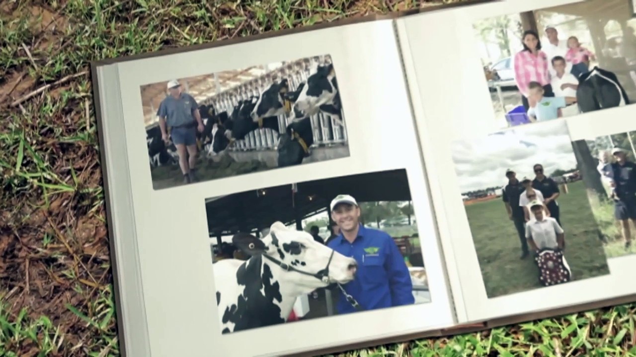 Family dairy business diversifies amid changing market