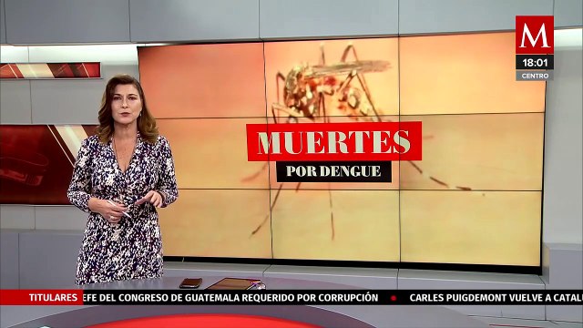 México acumula 76 defunciones y 28 mil 661 casos confirmados por dengue
