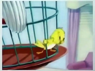 Tom and Jerry  Tom and Jerry New Episodes  Tom and Jerry Cartoon (1)
