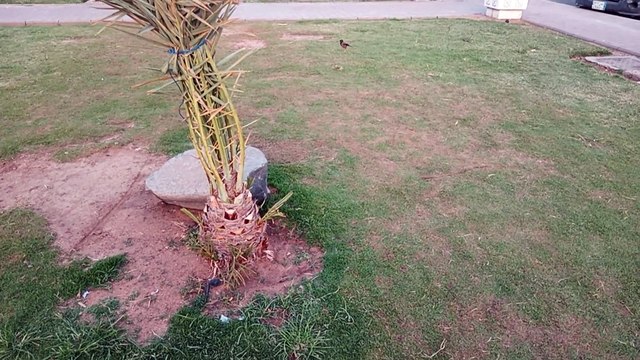 Surah Al-Kahf Full | (the Cave)سورة الكهف Soothing , Heart touching Voice