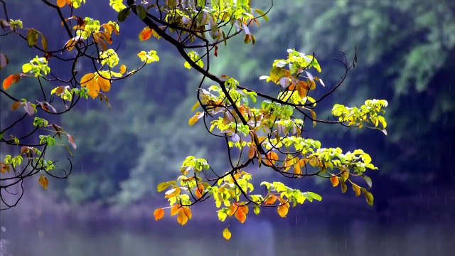 Nature - Waterfalls - Drone - Free HD Videos - No Copyright footage