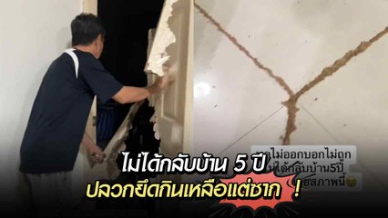 ไม่ได้กลับบ้าน 5 ปี เปิดประตูมาเจอสภาพนี้แทบล้มทั้งยืน เจอปลวกยึดกินเหลือแต่ซาก