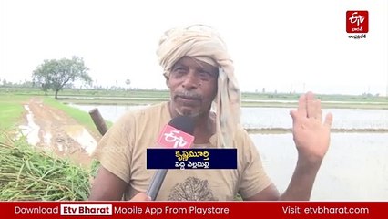 భారీ వర్షాలతో అన్నదాతలకు కోలుకోలేని దెబ్బ
