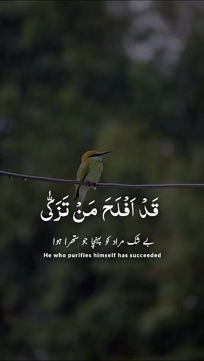 Islamic