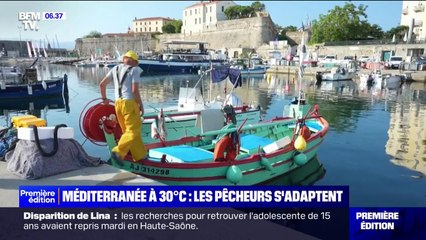 Video herunterladen: Canicule: en Mediterranée, les pêcheurs doivent s'adapter aux températures élevées