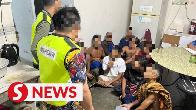 Johor Immigration nabs 76 without papers in raid on three districts