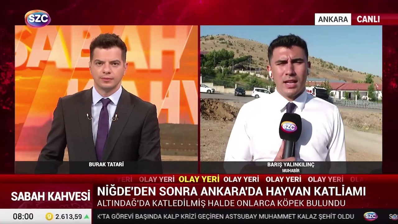 Altındağ'da katledilmiş halde onlarca köpek bulundu! SÖZCÜ TV olay yerinde